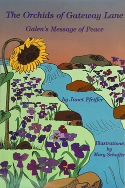 Children's Book about bullies and bullyinh by Janet Pfeiffer